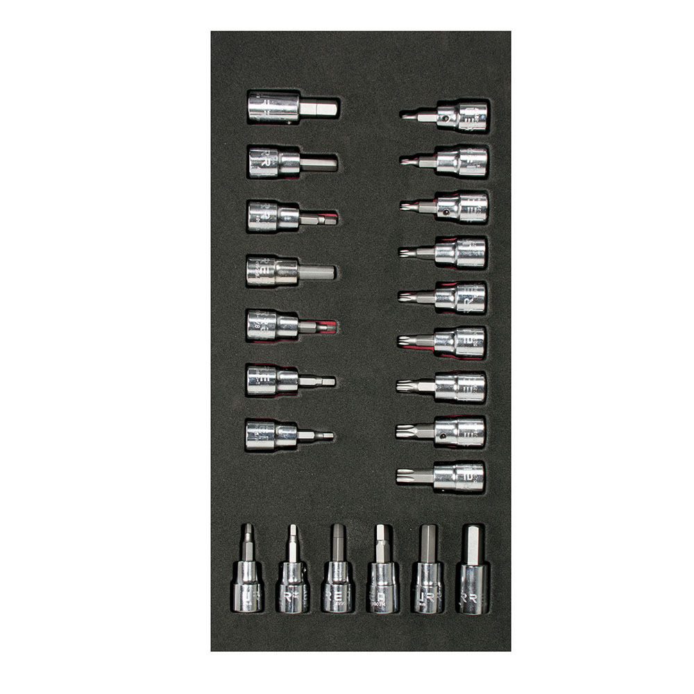 CH108 SAE/metric hexagonal & Torx tip 3/8”dr, socket bits 22PC